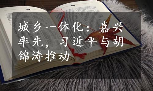 城乡一体化：嘉兴率先，习近平与胡锦涛推动