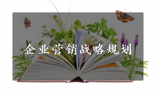 企业营销战略规划