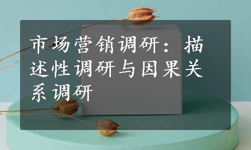 市场营销调研：描述性调研与因果关系调研