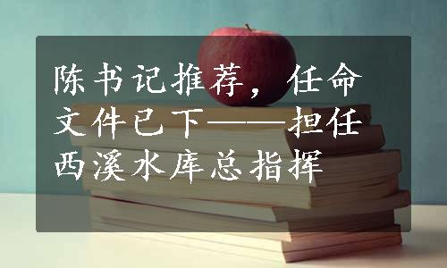 陈书记推荐，任命文件已下——担任西溪水库总指挥