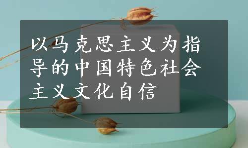 以马克思主义为指导的中国特色社会主义文化自信