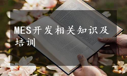 MES开发相关知识及培训