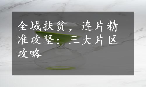 全域扶贫，连片精准攻坚：三大片区攻略