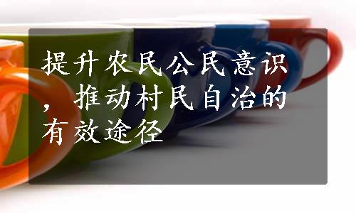 提升农民公民意识，推动村民自治的有效途径