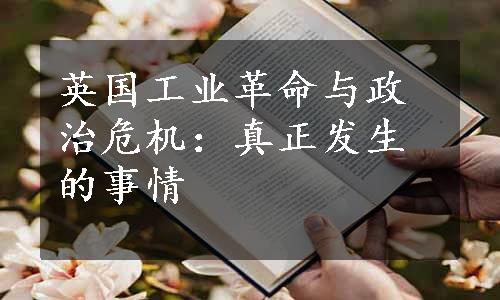 英国工业革命与政治危机：真正发生的事情