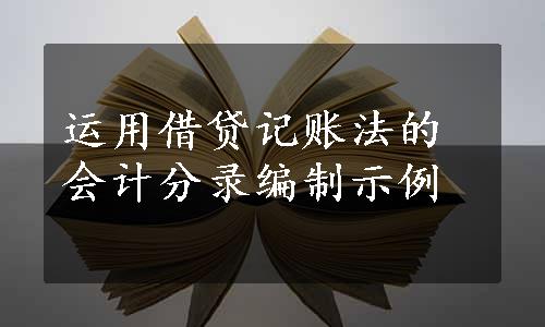 运用借贷记账法的会计分录编制示例