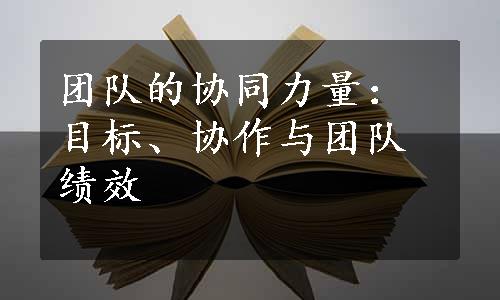 团队的协同力量：目标、协作与团队绩效