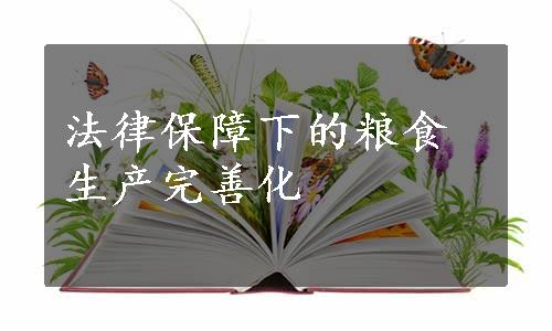 法律保障下的粮食生产完善化