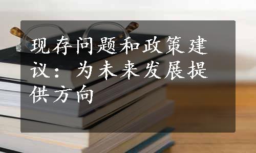 现存问题和政策建议：为未来发展提供方向