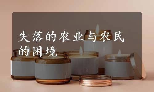 失落的农业与农民的困境