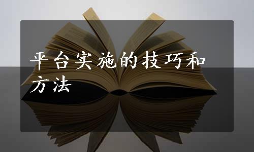 平台实施的技巧和方法