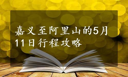 嘉义至阿里山的5月11日行程攻略