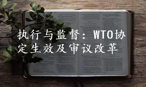 执行与监督：WTO协定生效及审议改革