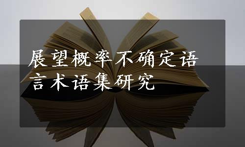 展望概率不确定语言术语集研究