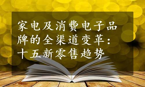 家电及消费电子品牌的全渠道变革：十五新零售趋势