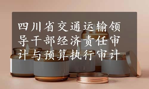 四川省交通运输领导干部经济责任审计与预算执行审计