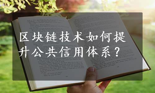 区块链技术如何提升公共信用体系？