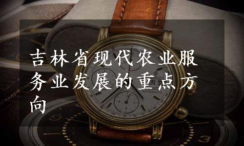 吉林省现代农业服务业发展的重点方向