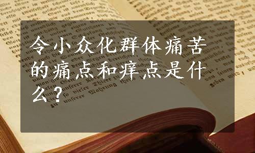 令小众化群体痛苦的痛点和痒点是什么？