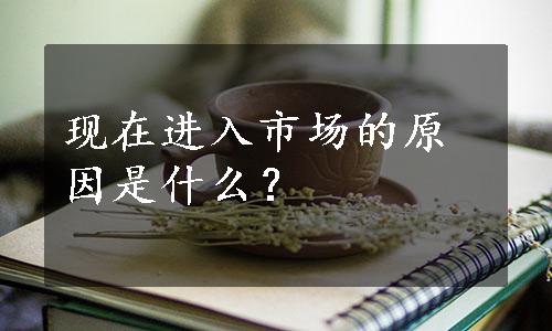 现在进入市场的原因是什么？