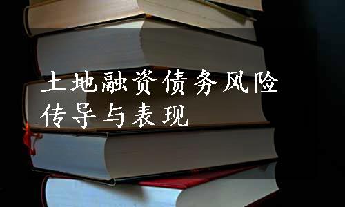 土地融资债务风险传导与表现