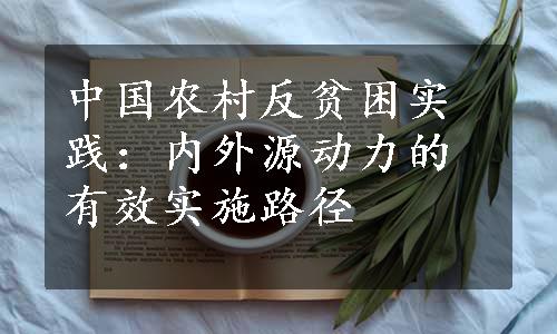 中国农村反贫困实践：内外源动力的有效实施路径