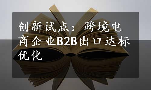 创新试点：跨境电商企业B2B出口达标优化