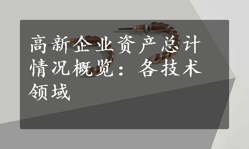 高新企业资产总计情况概览：各技术领域