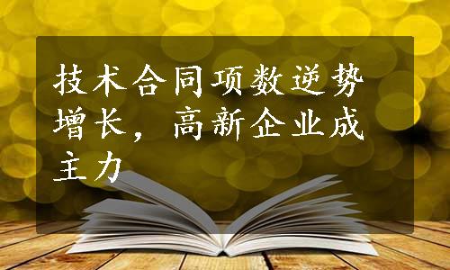 技术合同项数逆势增长，高新企业成主力