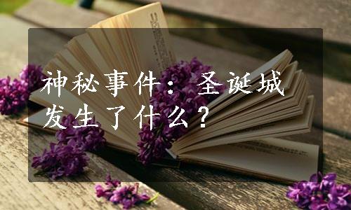 神秘事件：圣诞城发生了什么？