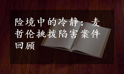 险境中的冷静：麦哲伦挑拨陷害案件回顾