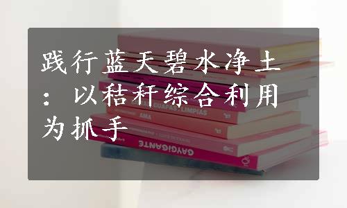 践行蓝天碧水净土：以秸秆综合利用为抓手