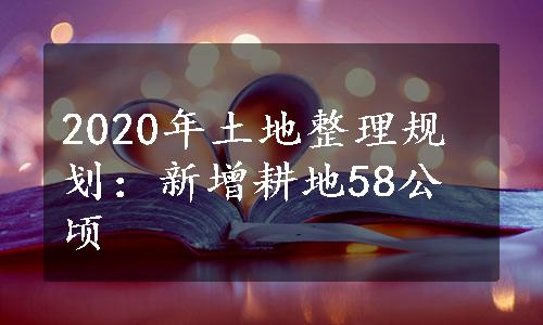 2020年土地整理规划：新增耕地58公顷