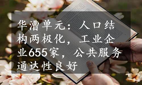 华漕单元：人口结构两极化，工业企业655家，公共服务通达性良好