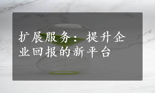 扩展服务：提升企业回报的新平台