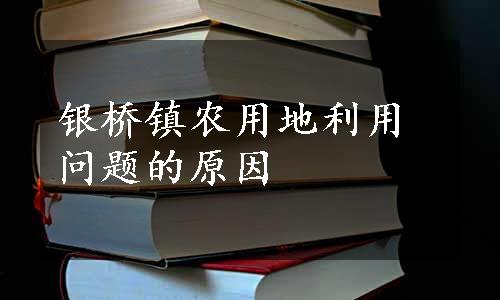 银桥镇农用地利用问题的原因