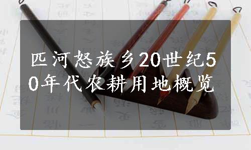 匹河怒族乡20世纪50年代农耕用地概览