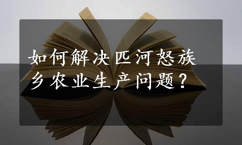 如何解决匹河怒族乡农业生产问题？