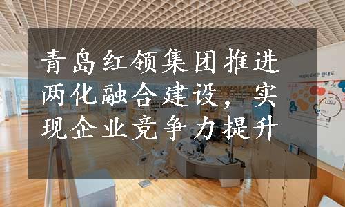 青岛红领集团推进两化融合建设，实现企业竞争力提升