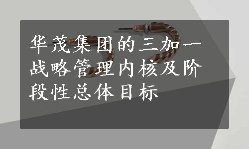 华茂集团的三加一战略管理内核及阶段性总体目标