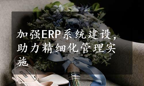 加强ERP系统建设，助力精细化管理实施