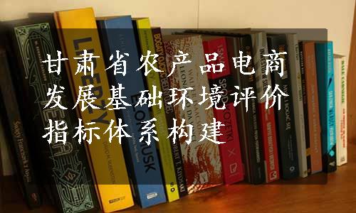 甘肃省农产品电商发展基础环境评价指标体系构建