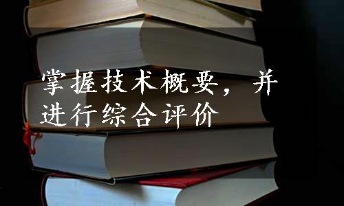 掌握技术概要，并进行综合评价