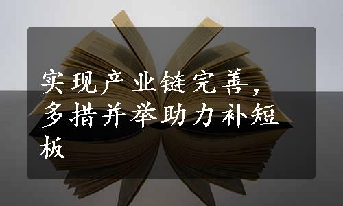 实现产业链完善，多措并举助力补短板