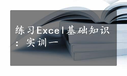 练习Excel基础知识：实训一