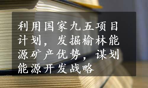 利用国家九五项目计划，发掘榆林能源矿产优势，谋划能源开发战略