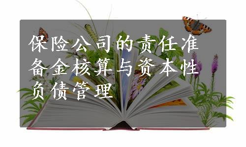 保险公司的责任准备金核算与资本性负债管理