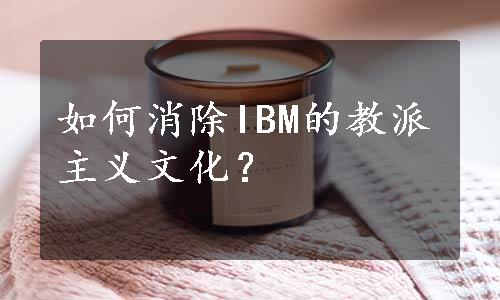 如何消除IBM的教派主义文化？