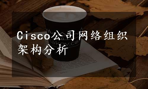 Cisco公司网络组织架构分析