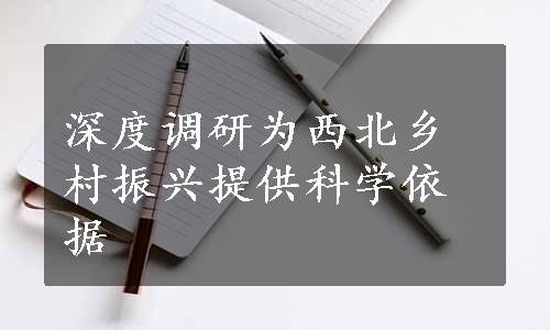 深度调研为西北乡村振兴提供科学依据